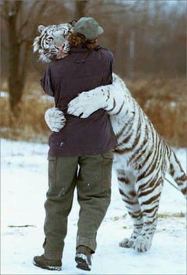 Hạnh Phúc Tiger Hug ok